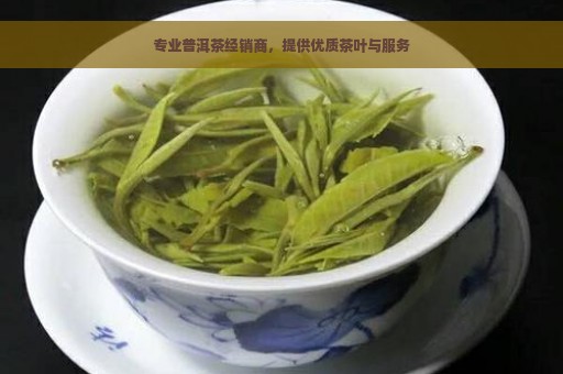 专业普洱茶经销商，提供优质茶叶与服务