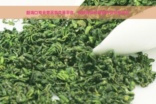 新海口专业普洱茶交易平台，提供各类优质茶叶及投资机会