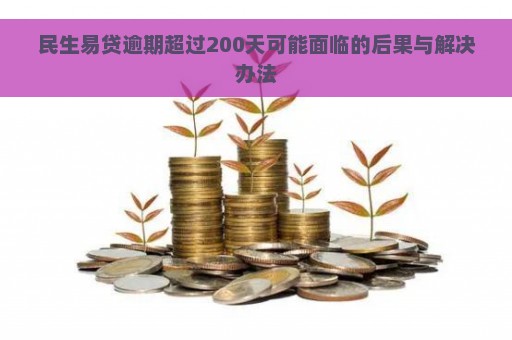 民生易贷逾期超过200天可能面临的后果与解决办法