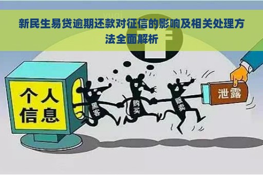 新民生易贷逾期还款对征信的影响及相关处理方法全面解析