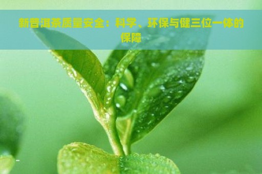 新普洱茶质量安全：科学、环保与健三位一体的保障