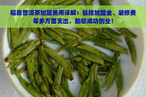 福鼎普洱茶加盟费用详解：包括加盟金、装修费等多方面支出，助您成功创业！