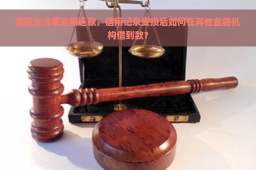 美团生活费逾期还款，信用记录受损后如何在其他金融机构借到款？