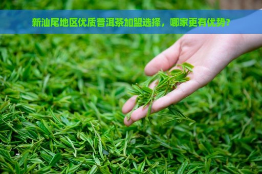 新汕尾地区优质普洱茶加盟选择，哪家更有优势？