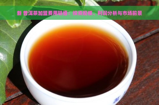 新 普洱茶加盟费用明细：投资规模、利润分析与市场前景