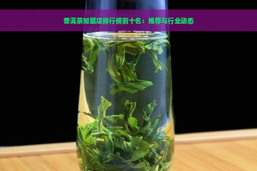 普洱茶加盟店排行榜前十名：推荐与行业动态