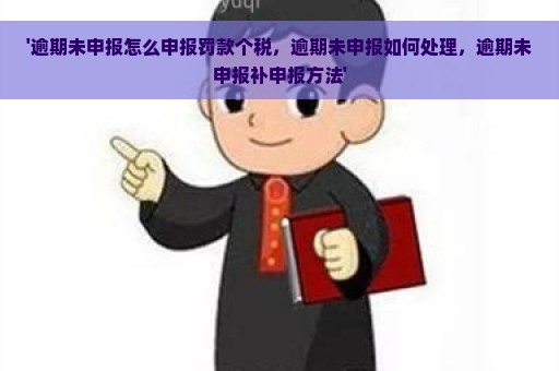 '逾期未申报怎么申报罚款个税，逾期未申报如何处理，逾期未申报补申报方法'