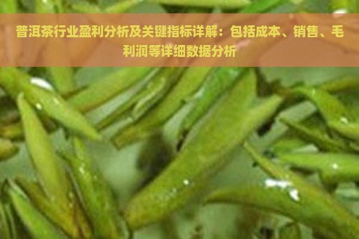 普洱茶行业盈利分析及关键指标详解：包括成本、销售、毛利润等详细数据分析