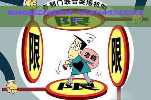 税务申报逾期后的全面解决措：如何进行补申报及常见注意事项