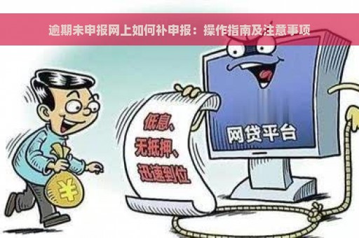 逾期未申报网上如何补申报：操作指南及注意事项