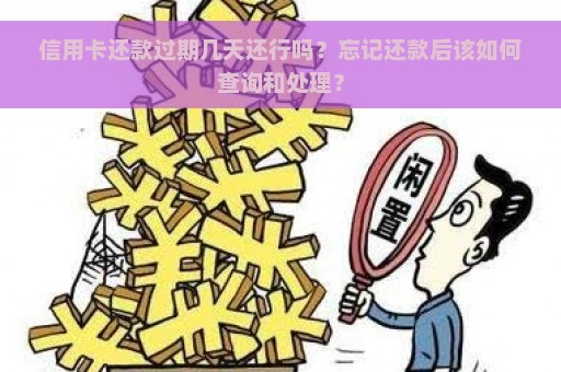 信用卡还款过期几天还行吗？忘记还款后该如何查询和处理？