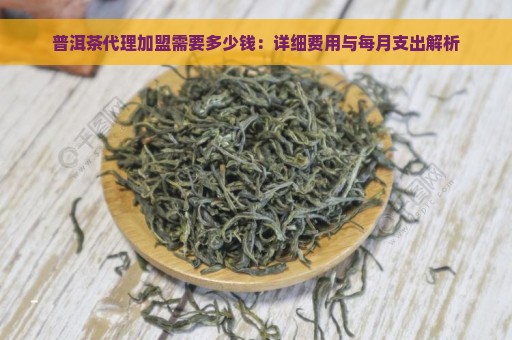 普洱茶代理加盟需要多少钱：详细费用与每月支出解析