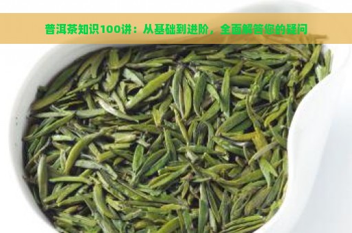 普洱茶知识100讲：从基础到进阶，全面解答您的疑问