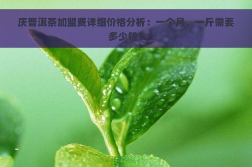 庆普洱茶加盟费详细价格分析：一个月、一斤需要多少钱？