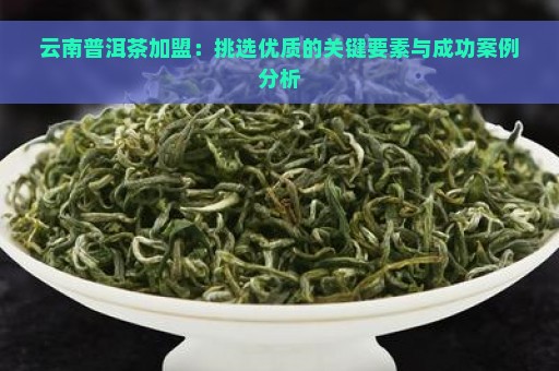 云南普洱茶加盟：挑选优质的关键要素与成功案例分析