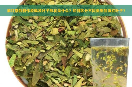 滇红茶的制作原料及叶子形状是什么？如何区分不同类型的滇红叶子？