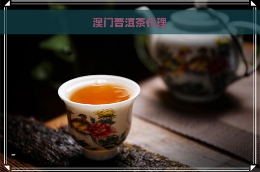 澳门普洱茶代理