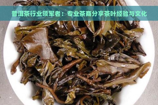 普洱茶行业领军者：专业茶商分享茶叶经验与文化