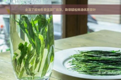 全面了解知名普洱茶厂商及，助您轻松挑选优质茶叶