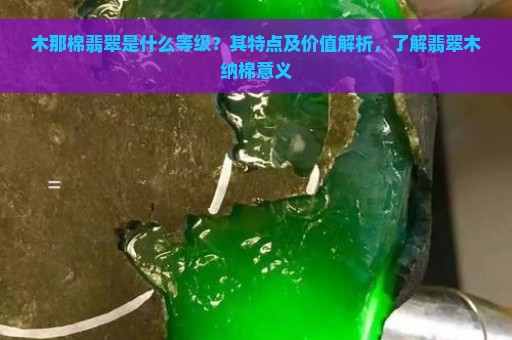 木那棉翡翠是什么等级？其特点及价值解析，了解翡翠木纳棉意义