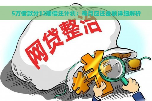 5万借款分12期偿还计划：每月应还金额详细解析