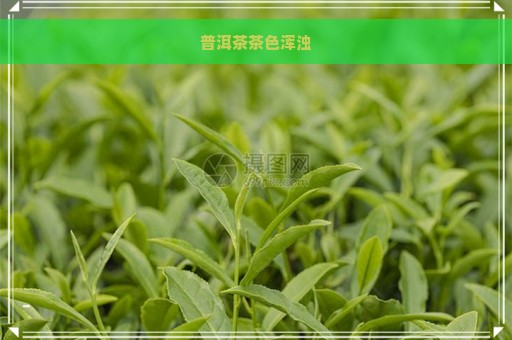 普洱茶茶色浑浊