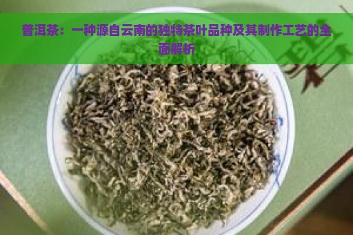 普洱茶：一种源自云南的独特茶叶品种及其制作工艺的全面解析