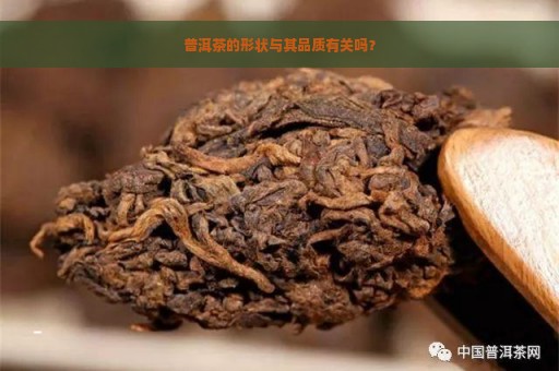 普洱茶的形状与其品质有关吗？