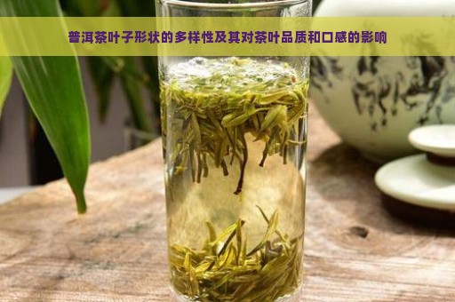 普洱茶叶子形状的多样性及其对茶叶品质和口感的影响