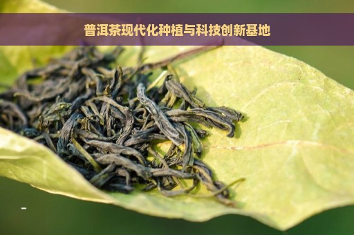 普洱茶现代化种植与科技创新基地