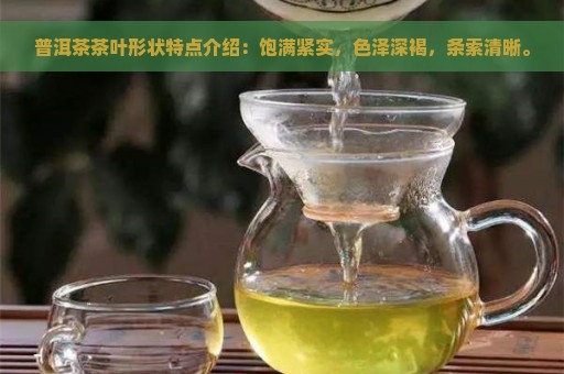 普洱茶茶叶形状特点介绍：饱满紧实，色泽深褐，条索清晰。