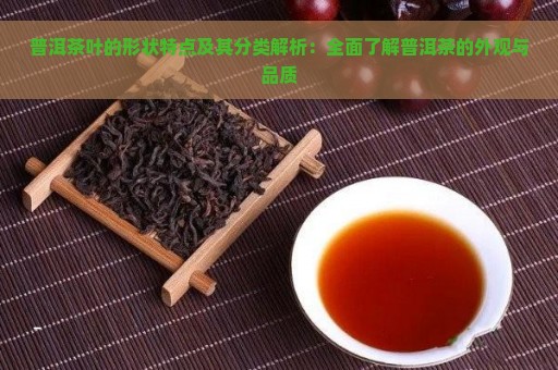 普洱茶叶的形状特点及其分类解析：全面了解普洱茶的外观与品质