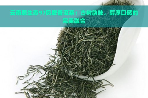 云南原生态97凤牌普洱茶：古树韵味，醇厚口感的完美融合