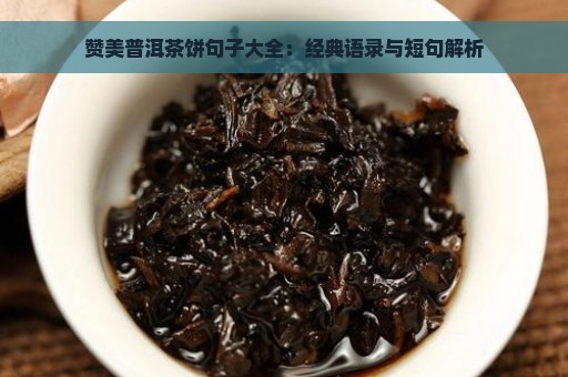 赞美普洱茶饼句子大全：经典语录与短句解析