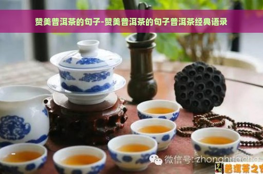 赞美普洱茶的句子-赞美普洱茶的句子普洱茶经典语录