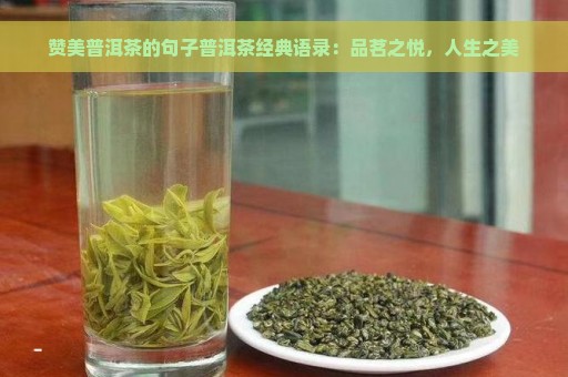 赞美普洱茶的句子普洱茶经典语录：品茗之悦，人生之美