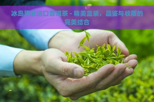 冰岛原装进口普洱茶 - 精美盒装，品鉴与收藏的完美结合