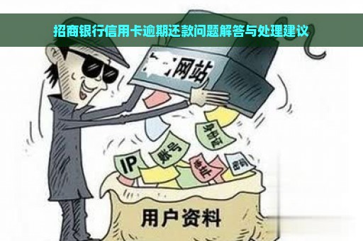 招商银行信用卡逾期还款问题解答与处理建议