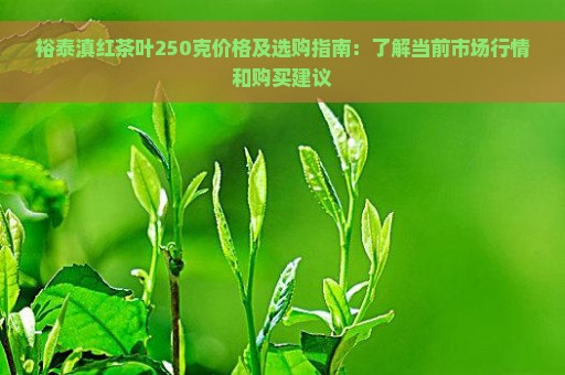 裕泰滇红茶叶250克价格及选购指南：了解当前市场行情和购买建议