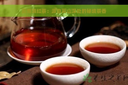 云南滇红茶：源自高山深处的秘境茶香