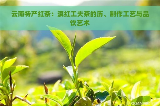 云南特产红茶：滇红工夫茶的历、制作工艺与品饮艺术