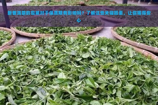 新普洱茶的包装对于保质期有影响吗？了解这些关键因素，让你喝得安心