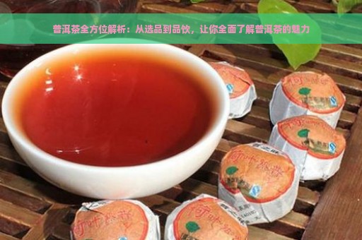 普洱茶全方位解析：从选品到品饮，让你全面了解普洱茶的魅力