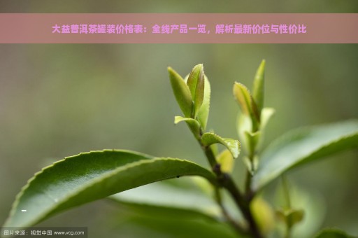 大益普洱茶罐装价格表：全线产品一览，解析最新价位与性价比