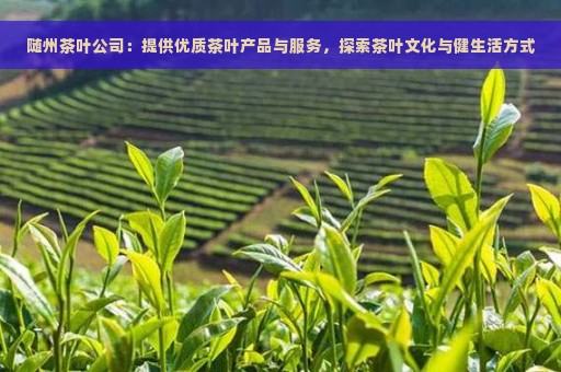 随州茶叶公司：提供优质茶叶产品与服务，探索茶叶文化与健生活方式