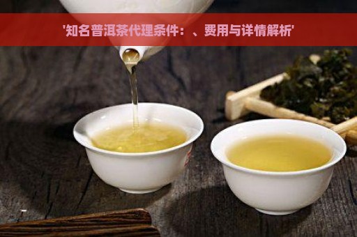 '知名普洱茶代理条件：、费用与详情解析'