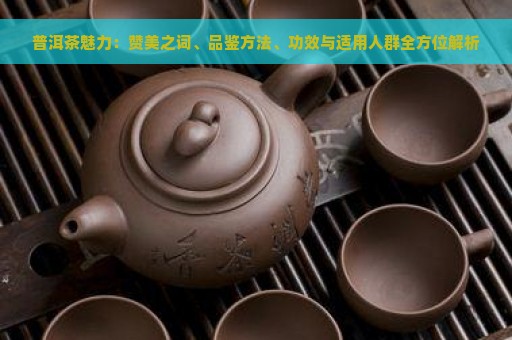 普洱茶魅力：赞美之词、品鉴方法、功效与适用人群全方位解析