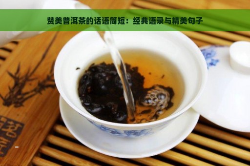 赞美普洱茶的话语简短：经典语录与精美句子