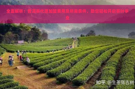 全面解析：普洱茶代理加盟费用及所需条件，助您轻松开启茶叶事业