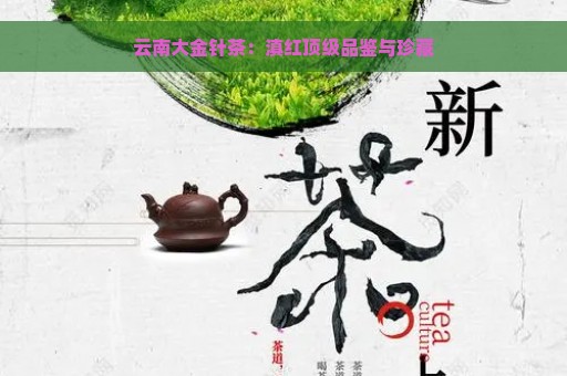 云南大金针茶：滇红顶级品鉴与珍藏